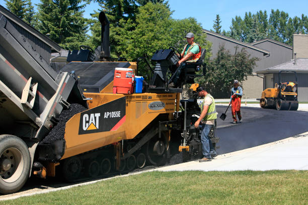 Best Driveway Pavers Near Me  in Rainbow, CA